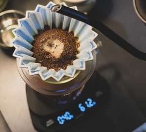 Normcore Coffee Scale